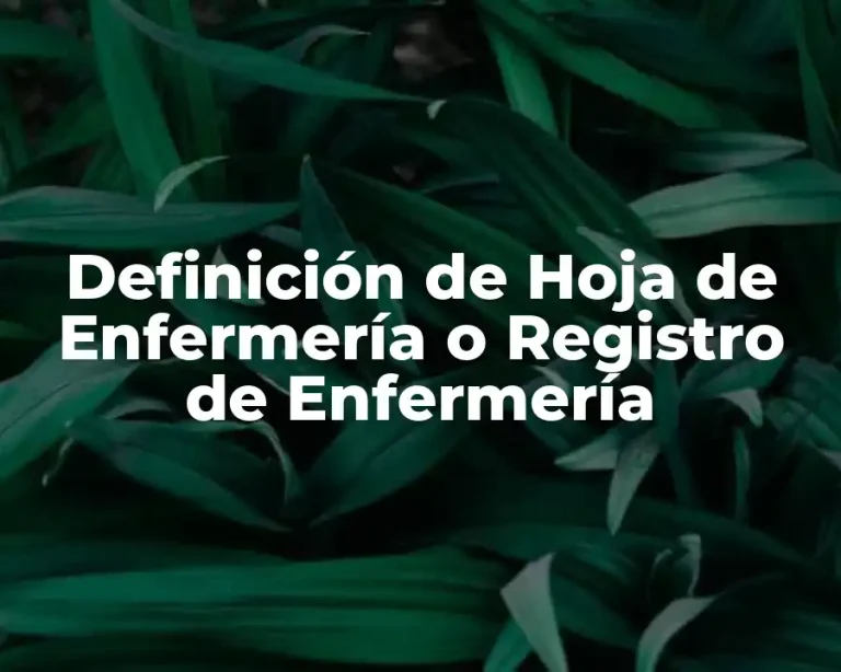Definición de Hoja de Enfermería o Registro de Enfermería
