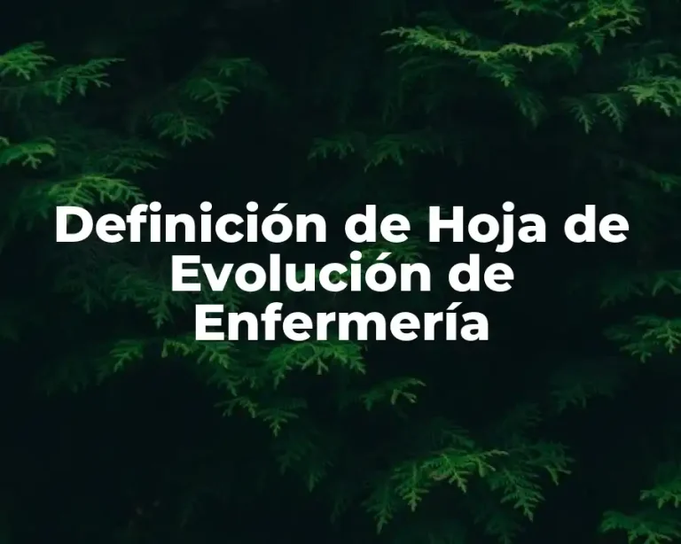Definición de Hoja de Evolución de Enfermería