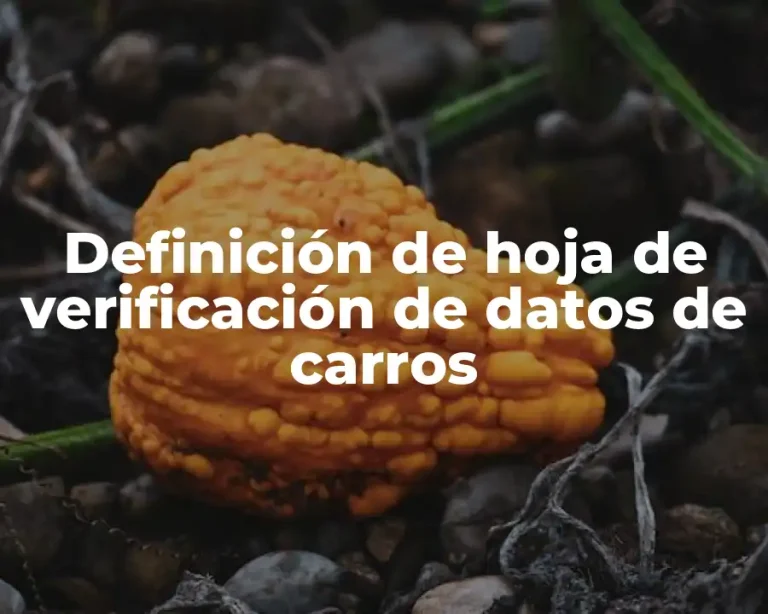 Definición de hoja de verificación de datos de carros