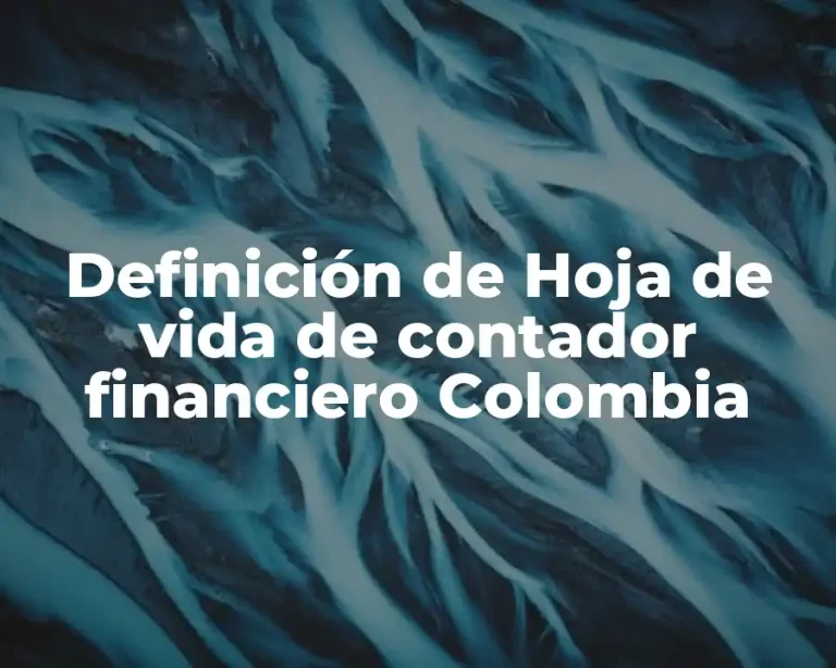 Definición de Hoja de vida de contador financiero Colombia
