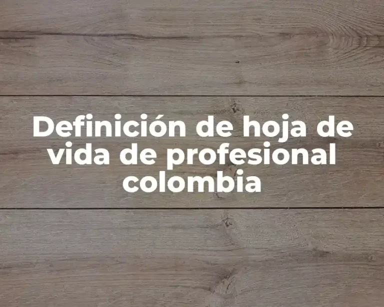 Definición de hoja de vida de profesional colombia