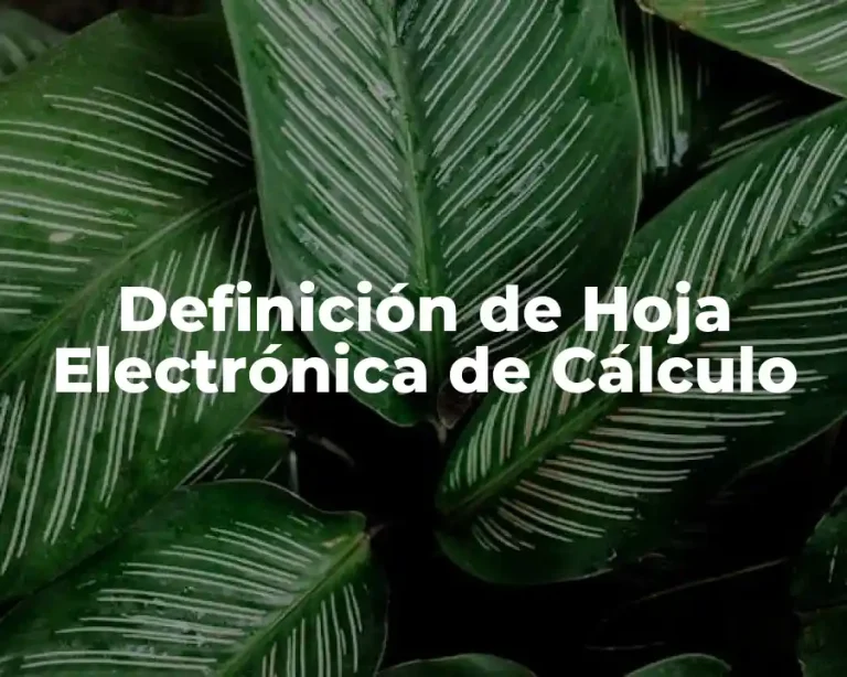 Definición de Hoja Electrónica de Cálculo