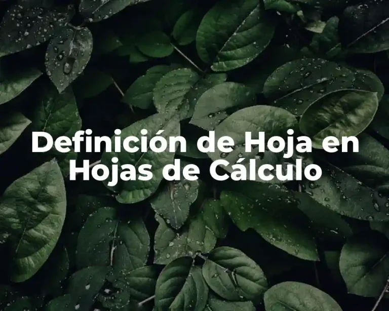 Definición de Hoja en Hojas de Cálculo