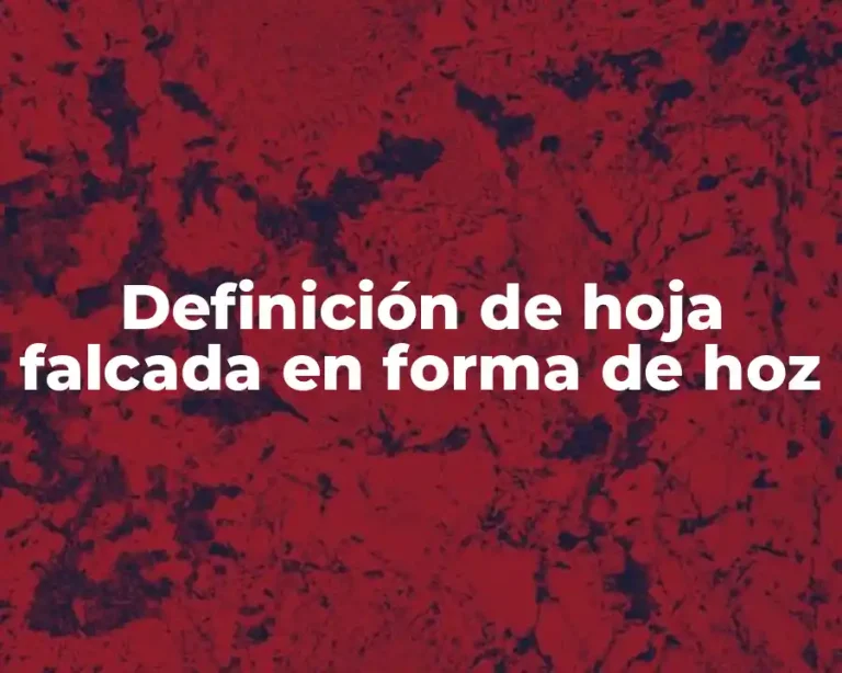 Definición de hoja falcada en forma de hoz