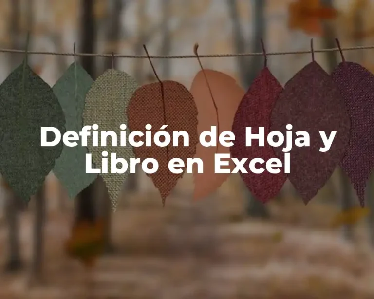 Definición de Hoja y Libro en Excel