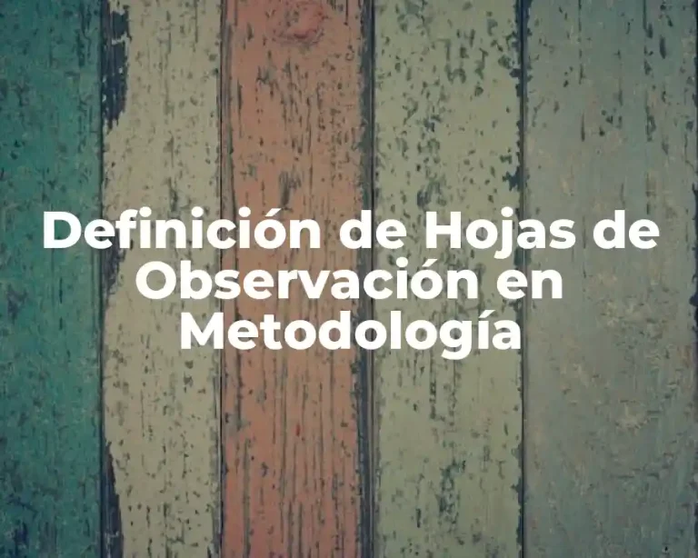 Definición de Hojas de Observación en Metodología