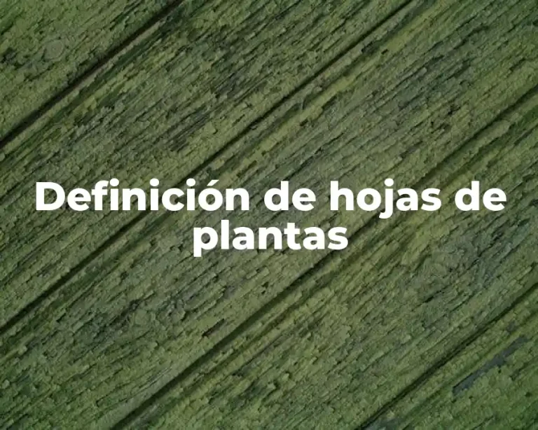 Definición de hojas de plantas