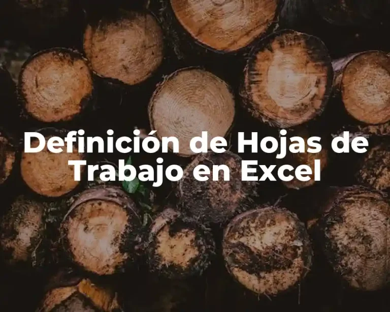 Definición de Hojas de Trabajo en Excel