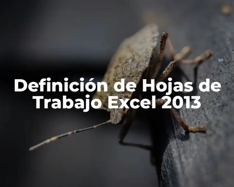Definición de Hojas de Trabajo Excel 2013
