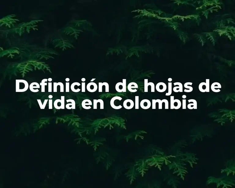 Definición de hojas de vida en Colombia