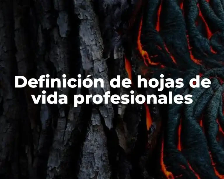 Definición de hojas de vida profesionales