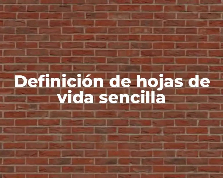 Definición de hojas de vida sencilla