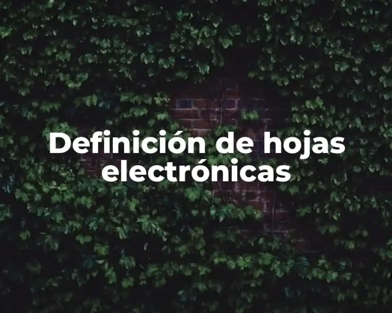 Definición de hojas electrónicas