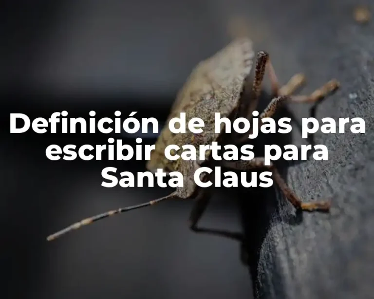 Definición de hojas para escribir cartas para Santa Claus
