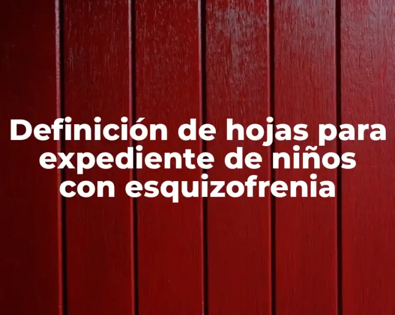 Definición de hojas para expediente de niños con esquizofrenia