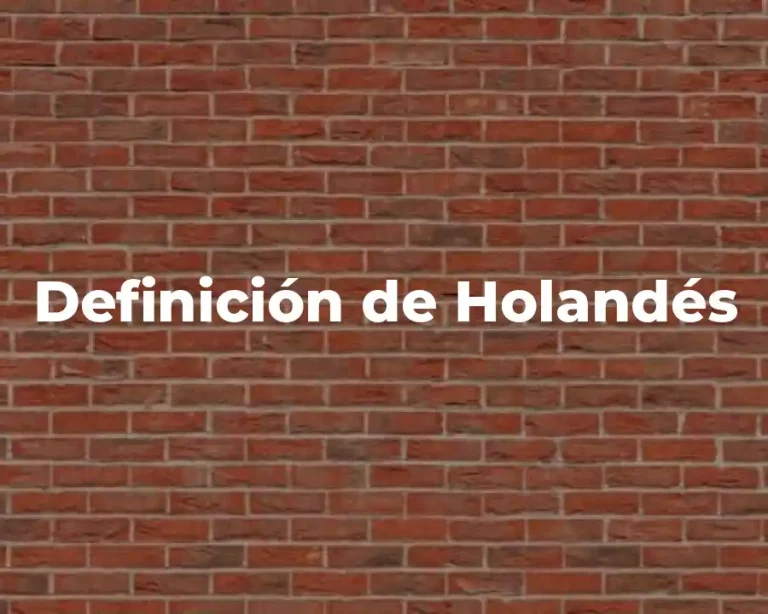 Definición de Holandés