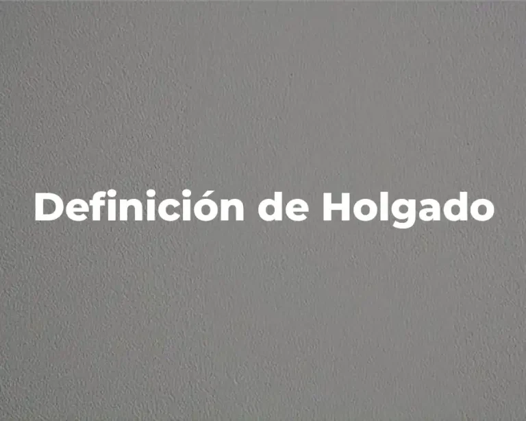 Definición de Holgado
