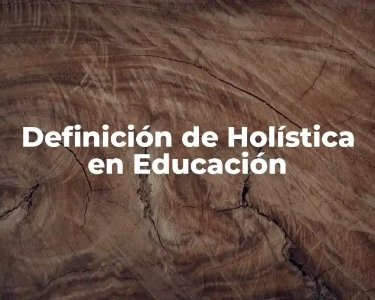 Definición de Holística en Educación