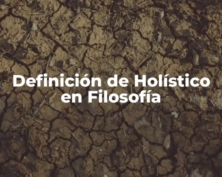 Definición de Holístico en Filosofía