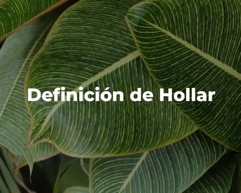 Definición de Hollar