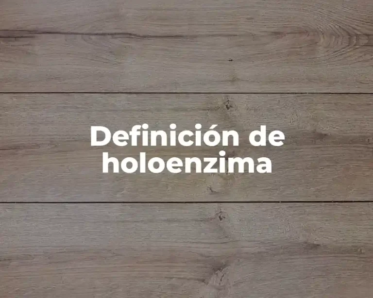 Definición de holoenzima