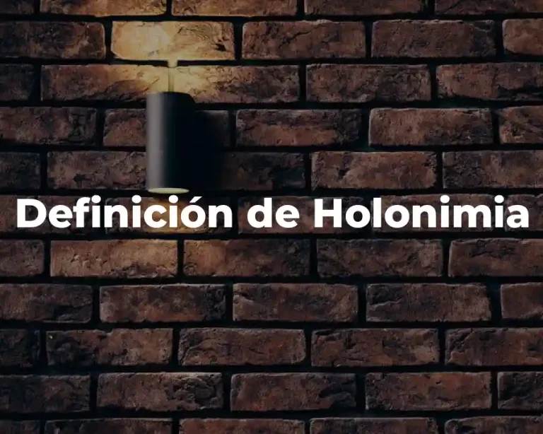 Definición de Holonimia