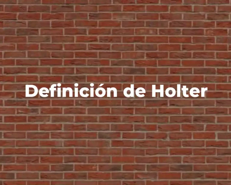 Definición de Holter