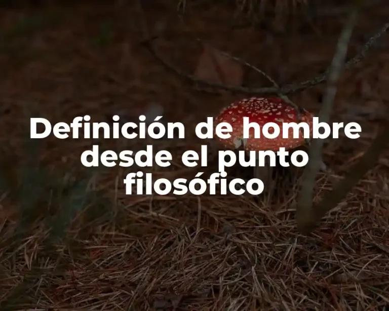 Definición de hombre desde el punto filosófico
