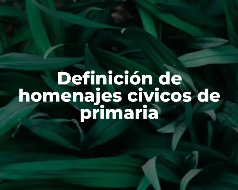 Definición de homenajes civicos de primaria