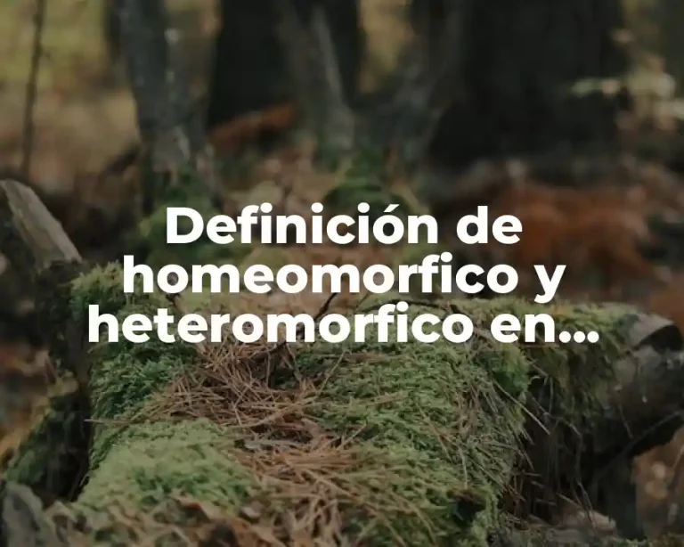 Definición de homeomorfico y heteromorfico en acarología