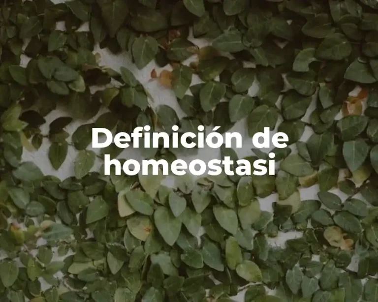 Definición de homeostasi