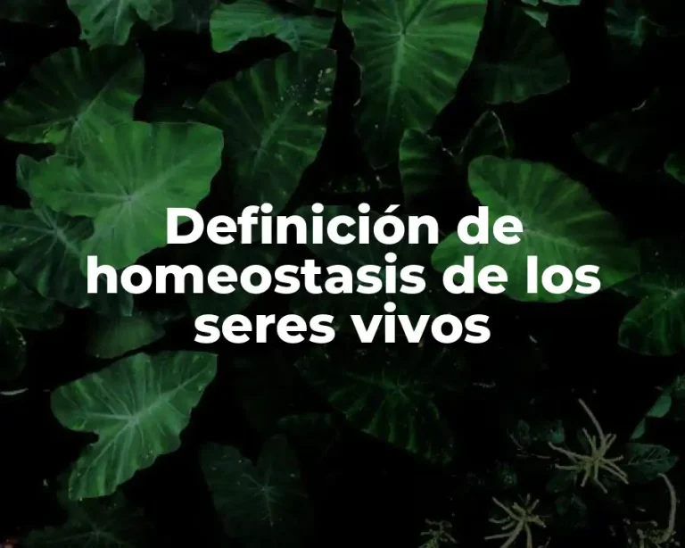 Definición de homeostasis de los seres vivos