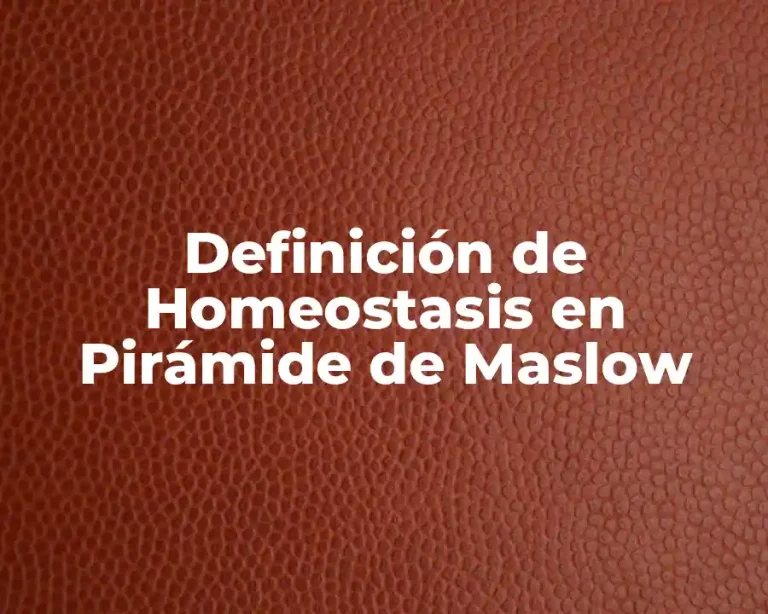 Definición de Homeostasis en Pirámide de Maslow