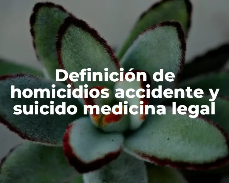 Definición de homicidios accidente y suicido medicina legal