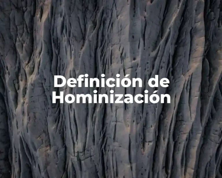 Definición de Hominización