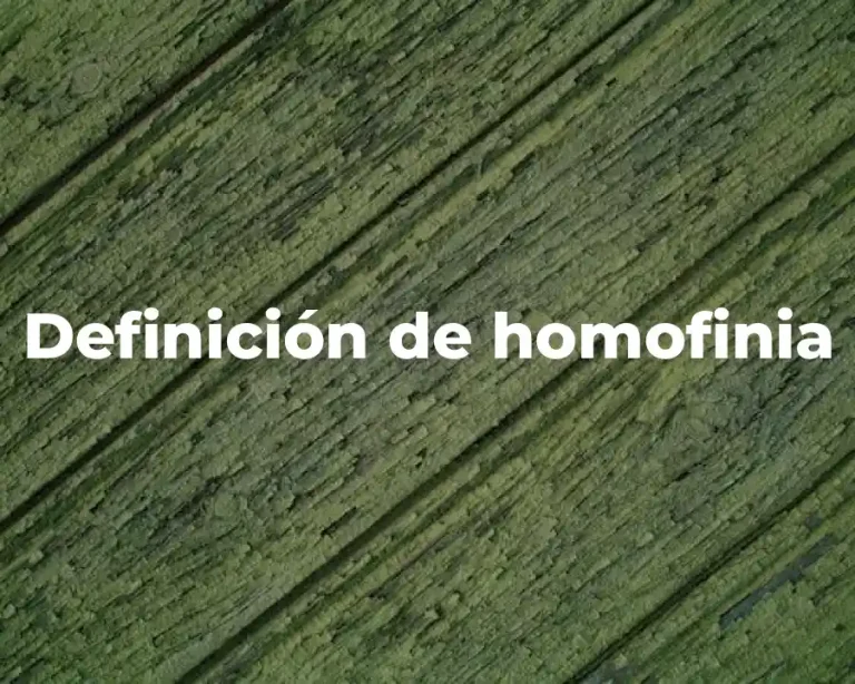Definición de homofinia