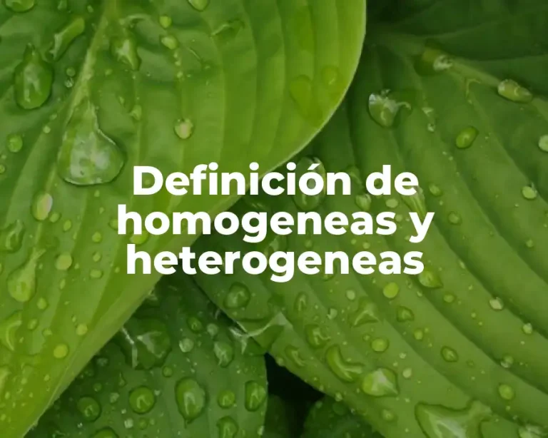 Definición de homogeneas y heterogeneas