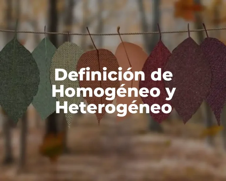 Definición de Homogéneo y Heterogéneo