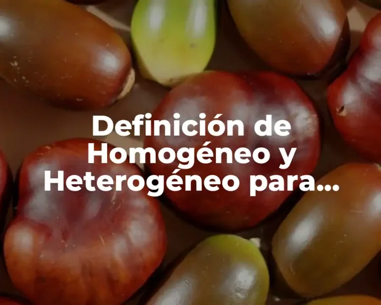 Definición de Homogéneo y Heterogéneo para Niños