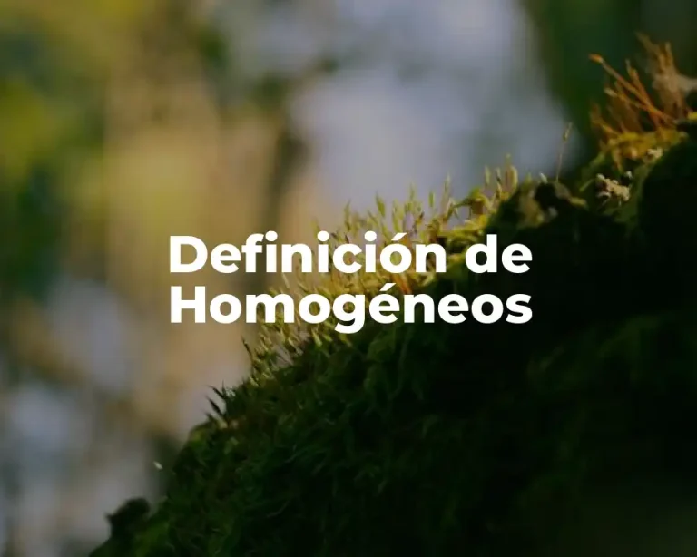 Definición de Homogéneos