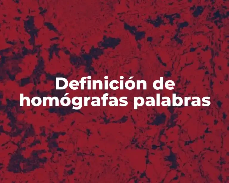 Definición de homógrafas palabras