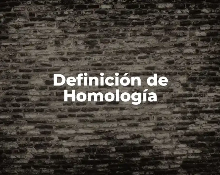 Definición de Homología