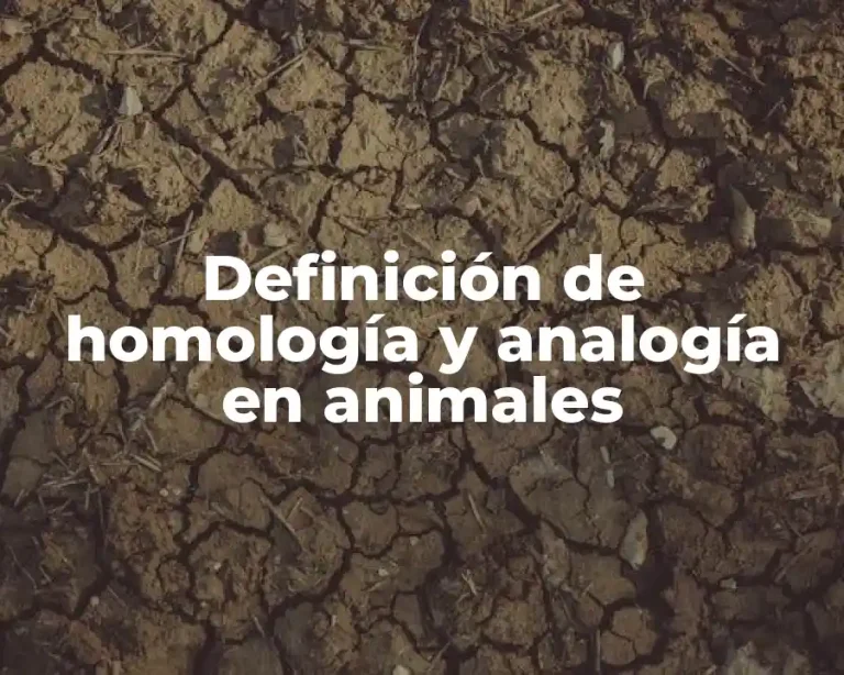 Definición de homología y analogía en animales