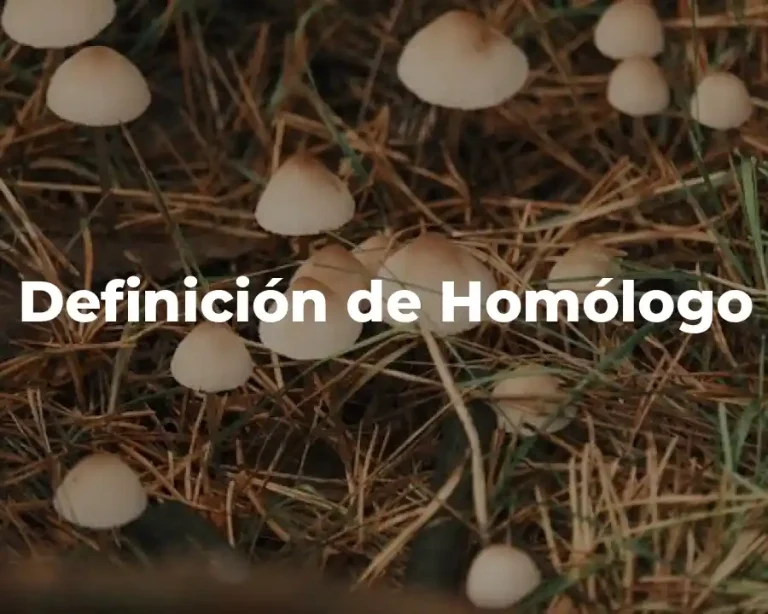 Definición de Homólogo