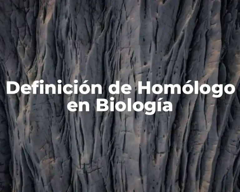 Definición de Homólogo en Biología