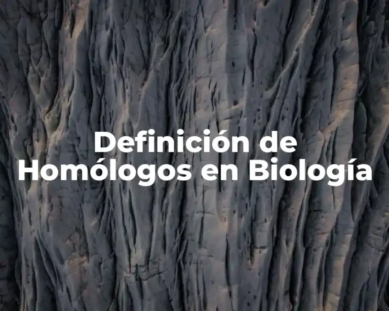 Definición de Homólogos en Biología