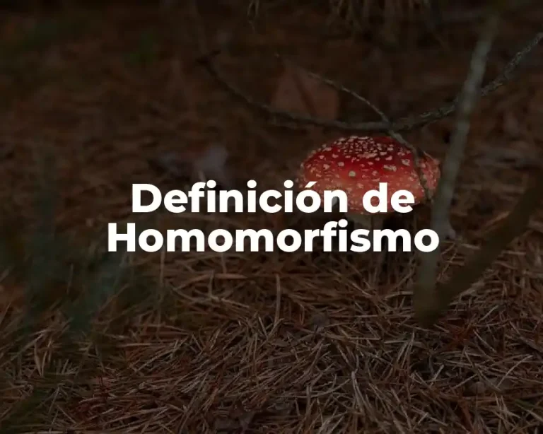 Definición de Homomorfismo