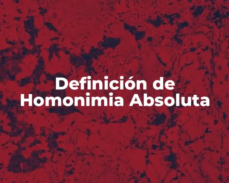 Definición de Homonimia Absoluta