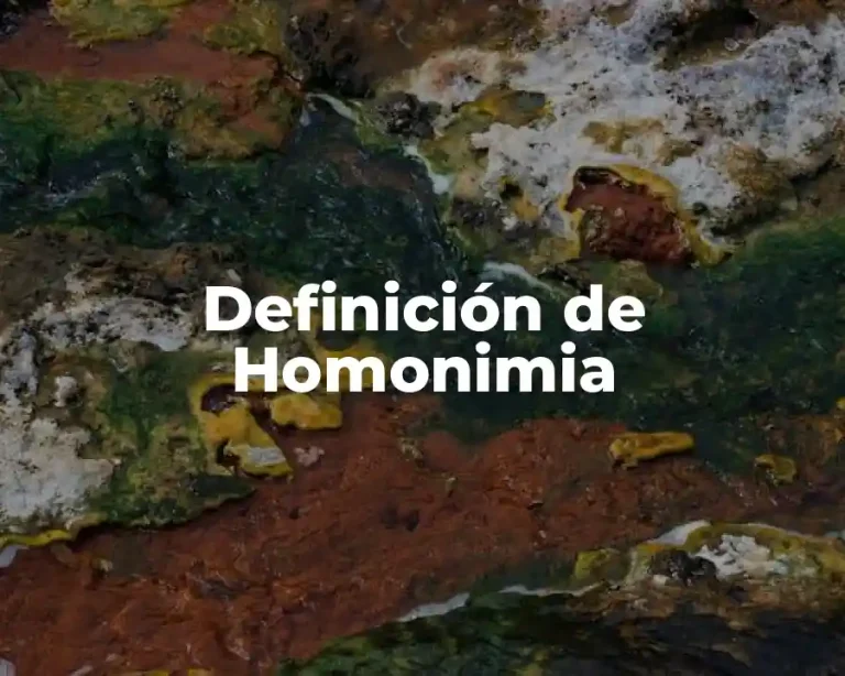 Definición de Homonimia
