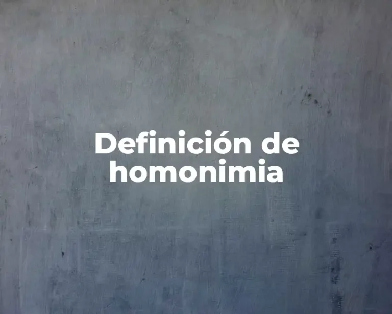 Definición de homonimia